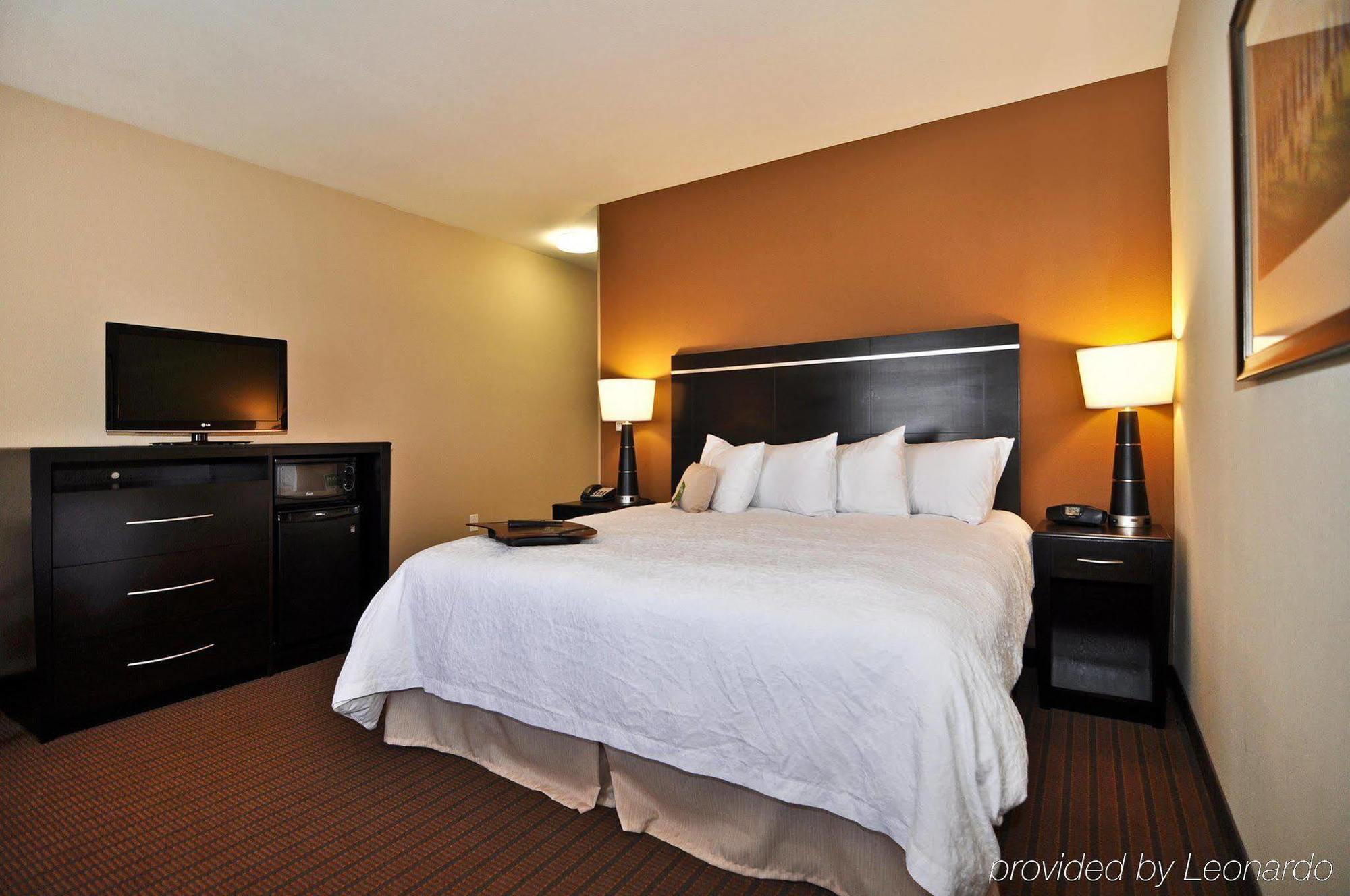 Hampton Inn Alamosa Kamer foto